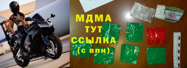 индика Алексин