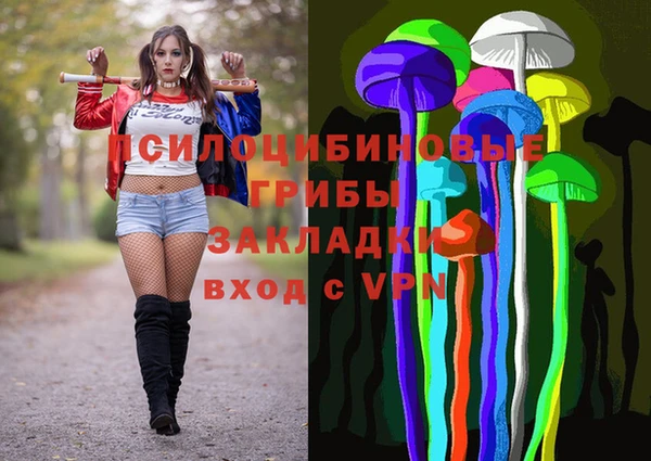 молекула духа Абинск