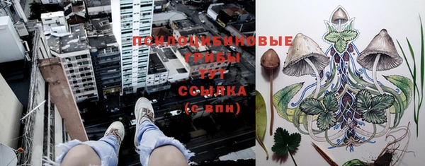 хмурый Киренск