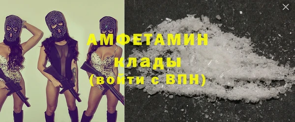 индика Алексин