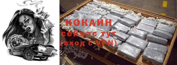 крисы Алзамай