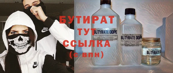 индика Алексин