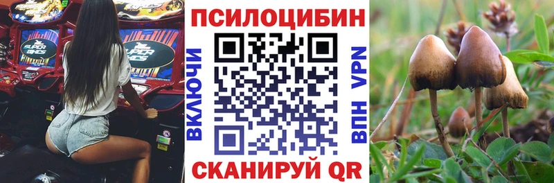 где продают   Ялта  Галлюциногенные грибы мухоморы 